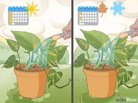 Image titled Care for a Golden Pothos Step 4