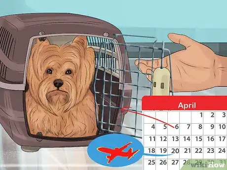 Image titled Prepare a Dog for Air Travel Step 2