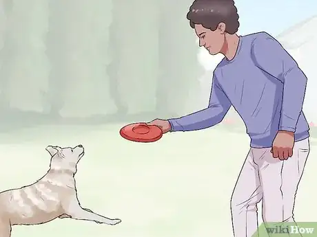 Image titled Get Your Dog to Follow You Step 9