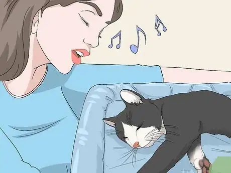 Image titled Soothe Your Cat With a Massage Step 4