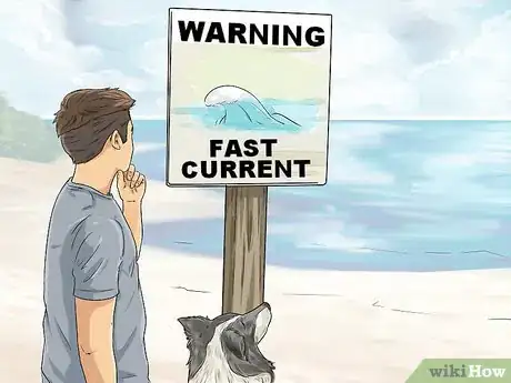 Image titled Protect Your Dog Around Natural Water Sources Step 10