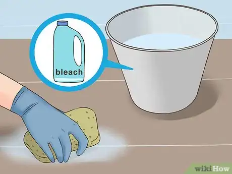 Image titled Eliminate Skunk Odor Step 17