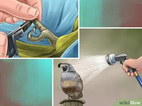 Image titled Sell Quail Step 18