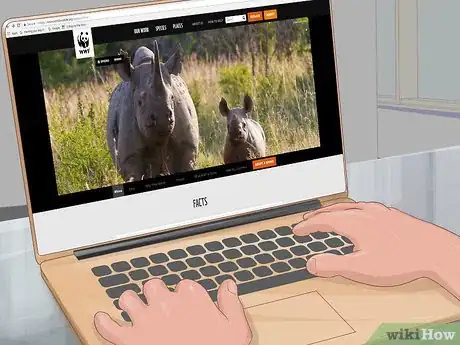 Image titled Help Rhinos Step 4