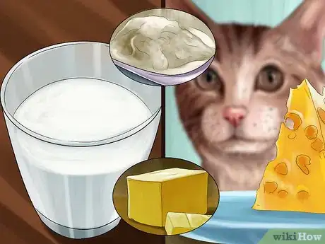 Image titled Avoid Feeding Your Cat Harmful People Foods Step 4