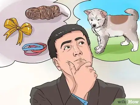 Image titled Make a Fun Toy for Your Small Dog Step 1