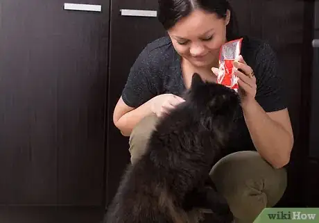Image titled Test Your Cat's Intelligence Step 7
