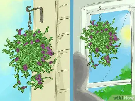 Image titled Choose Outdoor Hanging Plants Step 7