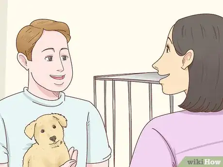 Image titled Choose a Border Collie Step 15