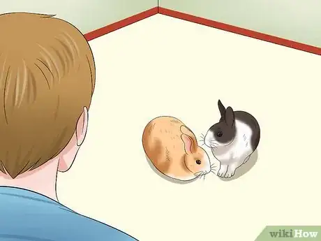 Image titled Socialize Your Rabbit Step 8