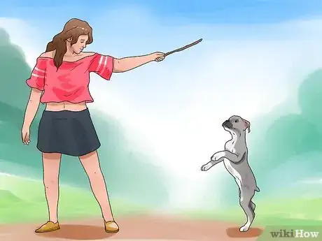 Image titled Become Your Dogs' Playmate Step 7