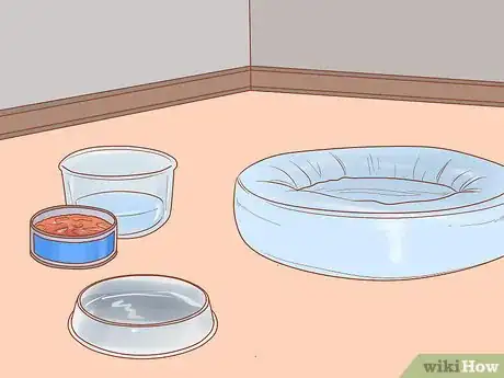 Image titled Be Responsible when You Have a Cat Step 10