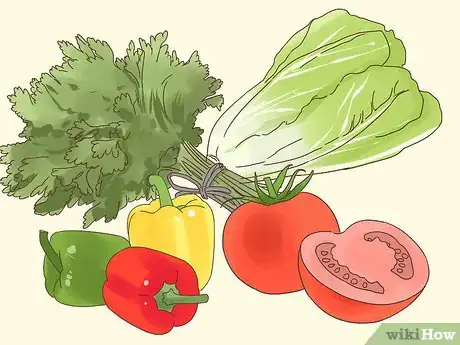 Image titled Handle Anorexia in Guinea Pigs Step 9