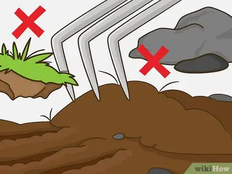 Image titled Grow Vegetables in the South (USA) Step 7