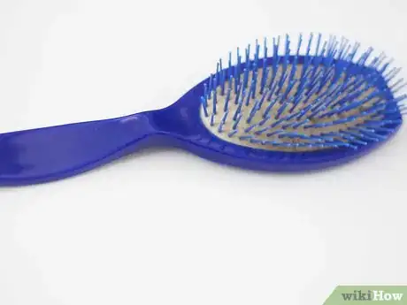 Image titled Bond with a Stray Cat Step 7