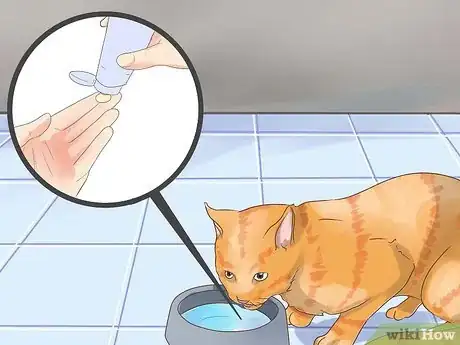 Image titled Prevent Cat Hairballs Step 8