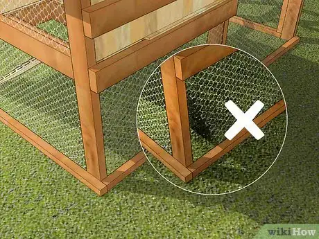 Image titled Care for an Asian Common Quail Step 2