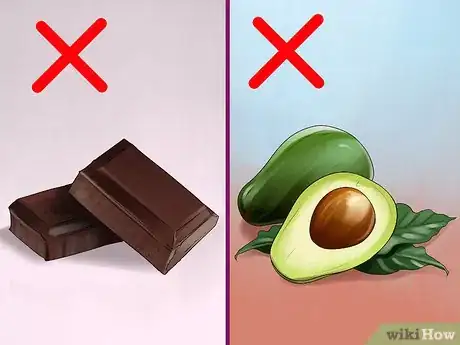 Image titled Find and Care for a Australian Shepherd Step 16