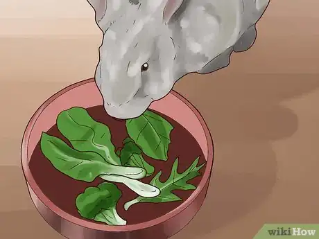 Image titled Choose Rabbit Food Step 5