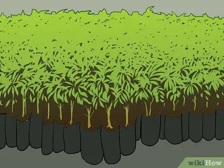 Image titled Plant Trees for a Reforestation Project Step 6