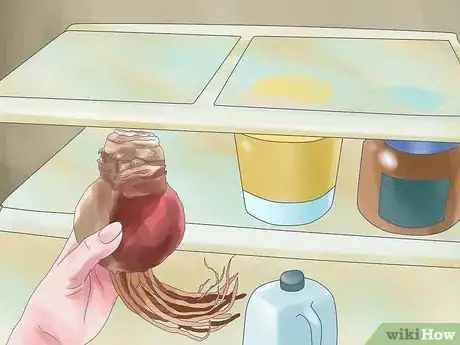 Image titled Care for Amaryllis Flowers Step 17