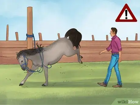 Image titled Tie up a Horse Step 13