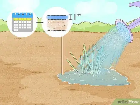 Image titled Plant Roots Step 7