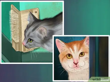 Image titled Deal with Cognitive Disorders in Cats Step 1