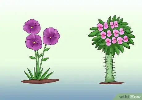 Image titled Cut from a Pansy Plant Step 12