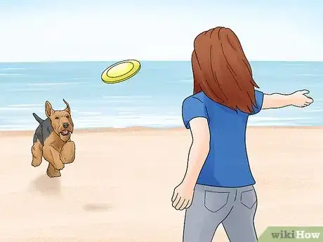 Image titled Choose a High Energy Dog Breed Step 4
