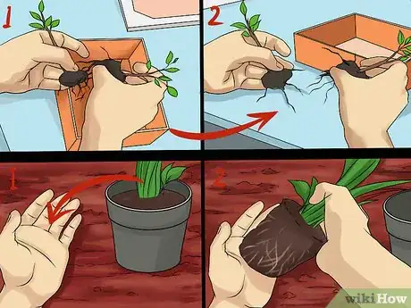 Image titled Create Tree Flower Beds Step 13