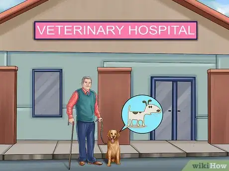 Image titled Keep Your Dog and Other Dogs Safe at the Vet Step 14