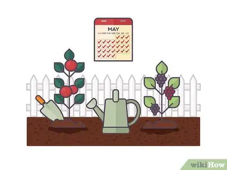 Image titled Plant a Cocktail Garden Step 11