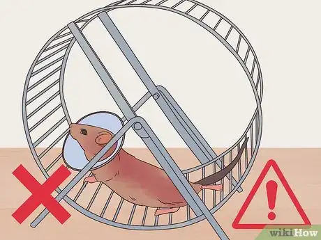 Image titled Desex a Pet Rat Step 9