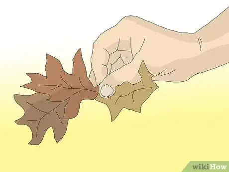 Image titled Set Fire to Leaves Step 1