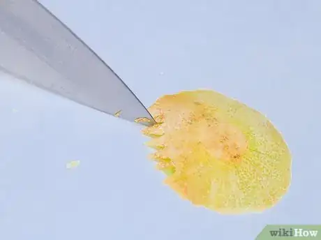 Image titled Carve Fruit Step 8