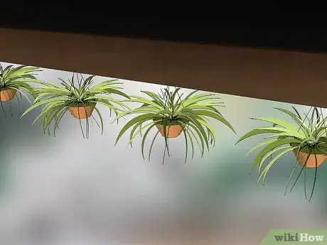 Image titled Choose Low‐Maintenance Houseplants Step 15