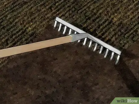 Image titled Harvest Creeping Charlie Step 8