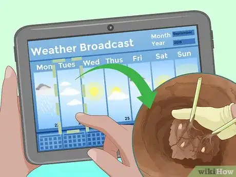 Image titled Divide Overgrown Perennials Step 4