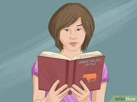 Image titled Identify Maine Anjou Cattle Step 7