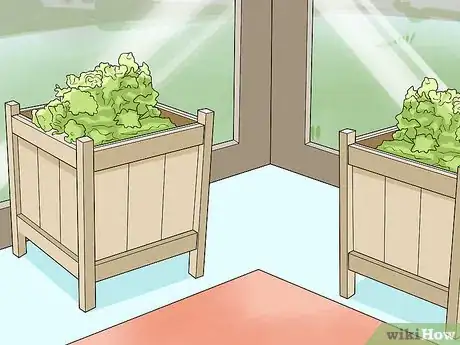 Image titled Decorate a Sunroom Step 4