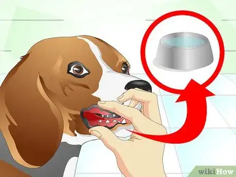 Image titled Nurse a Dog when It's Sick Step 5