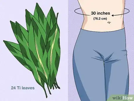 Image titled Make a Skirt from Ti Leaves Step 1