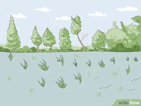 Image titled Fish with Poppers Step 15