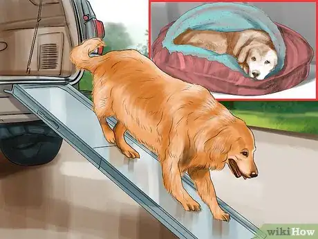 Image titled Show Affection to an Older Dog Step 7