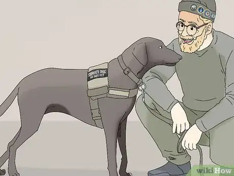 Image titled Get a PTSD Service Dog Step 7