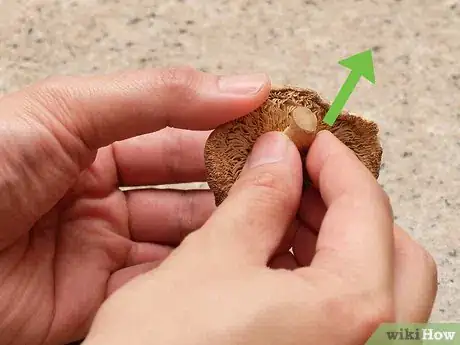 Image titled Clean Shiitake Mushrooms Step 5