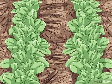 Image titled Prevent Soil Erosion Step 11
