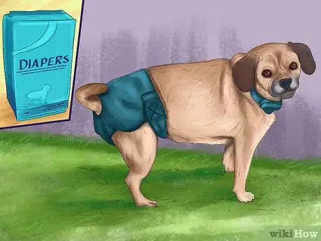 Image titled Deal with House Soiling in Older Dogs Step 6