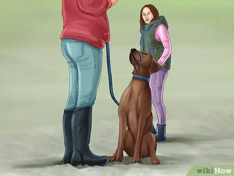 Image titled Know if a Head Halter Is Right for Your Dog Step 5